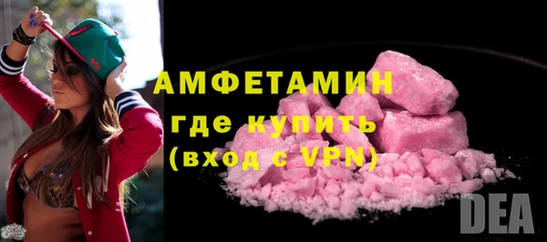 прущие грибы Бородино