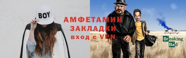 прущие грибы Бородино