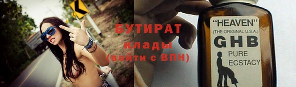 прущие грибы Бородино