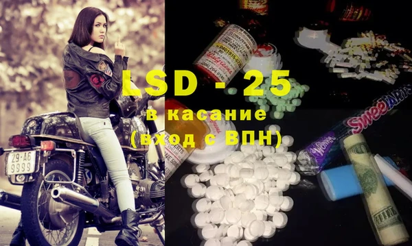 прущие грибы Бородино