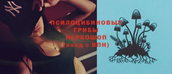 крисы Богданович