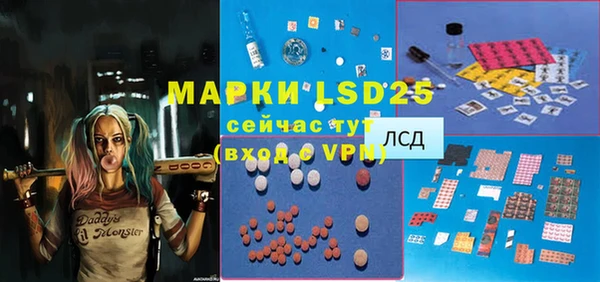 прущие грибы Бородино