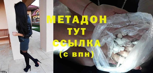 прущие грибы Бородино