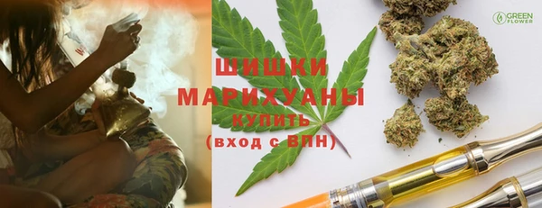 прущие грибы Бородино