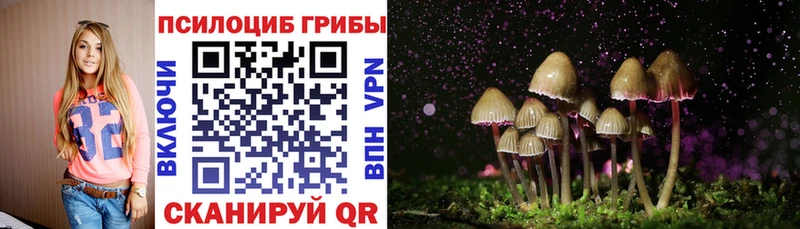 Псилоцибиновые грибы Cubensis  МЕГА зеркало  Туймазы 